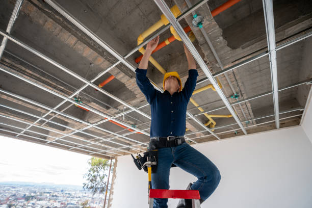 Best Local Plumber Services  in Gary, IN