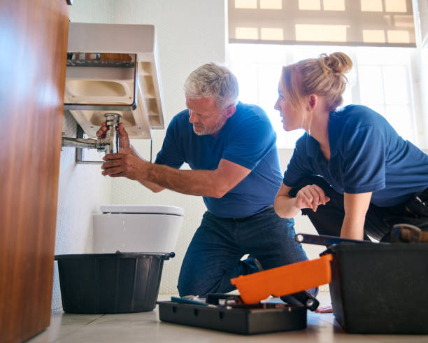 Best Plumbing Inspection Services  in Gary, IN
